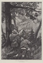 Reeënjacht in Oostenrijk